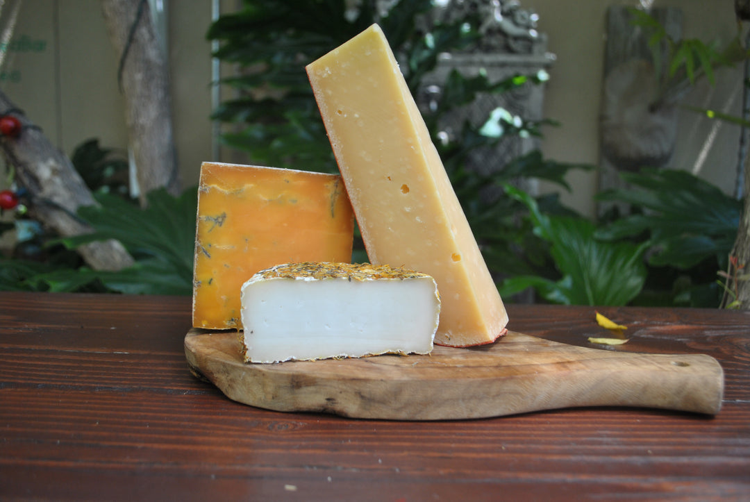 sample cheeses from andrews cheese of the month club