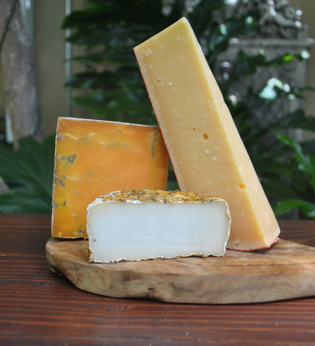 Cheese of the Month Subscriptions